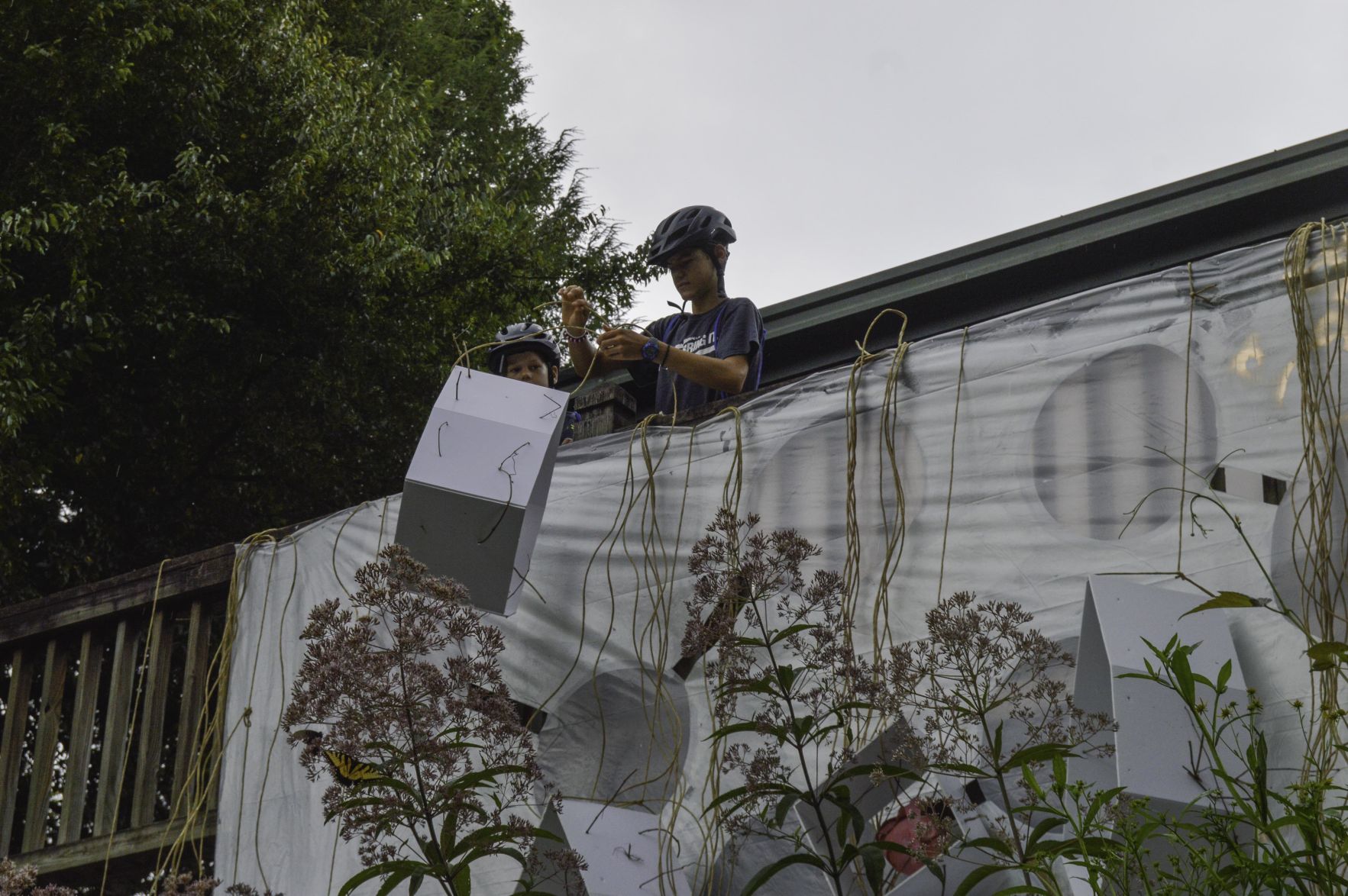 20190810-_DSC6925.jpg
